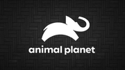 Assistir Animal Planet Online em HD
